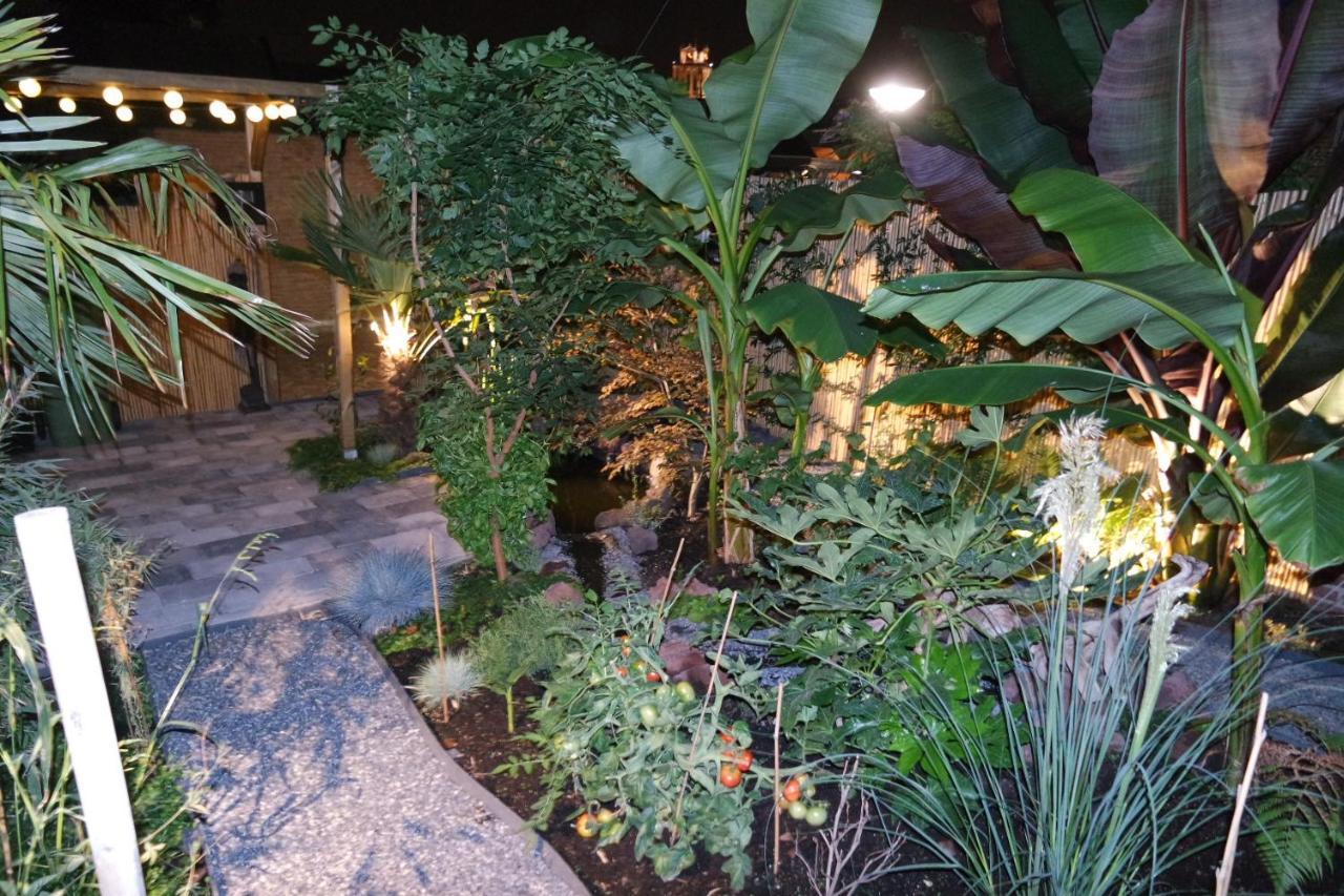 Jungle Stay In A Hidden Paradise زْفيندريشْتْ المظهر الخارجي الصورة