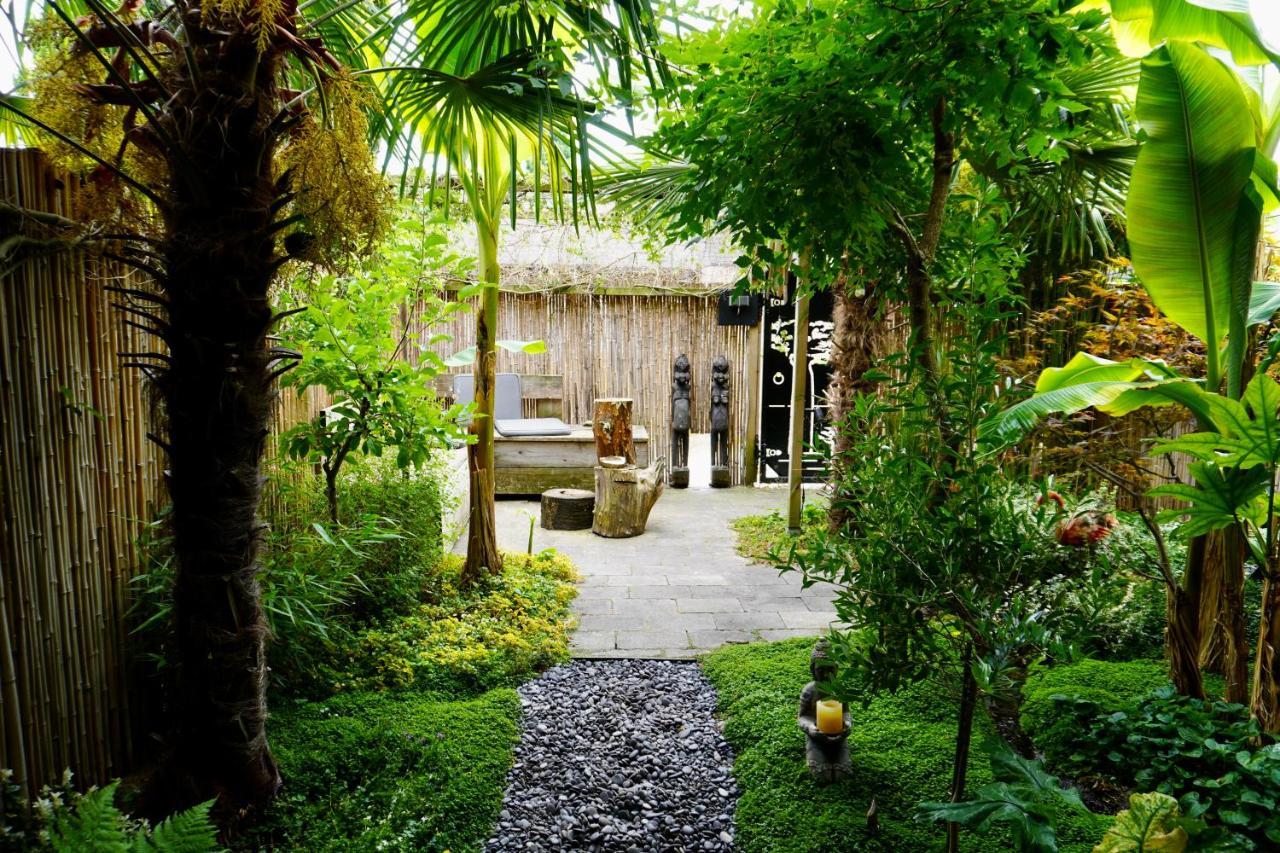 Jungle Stay In A Hidden Paradise زْفيندريشْتْ المظهر الخارجي الصورة