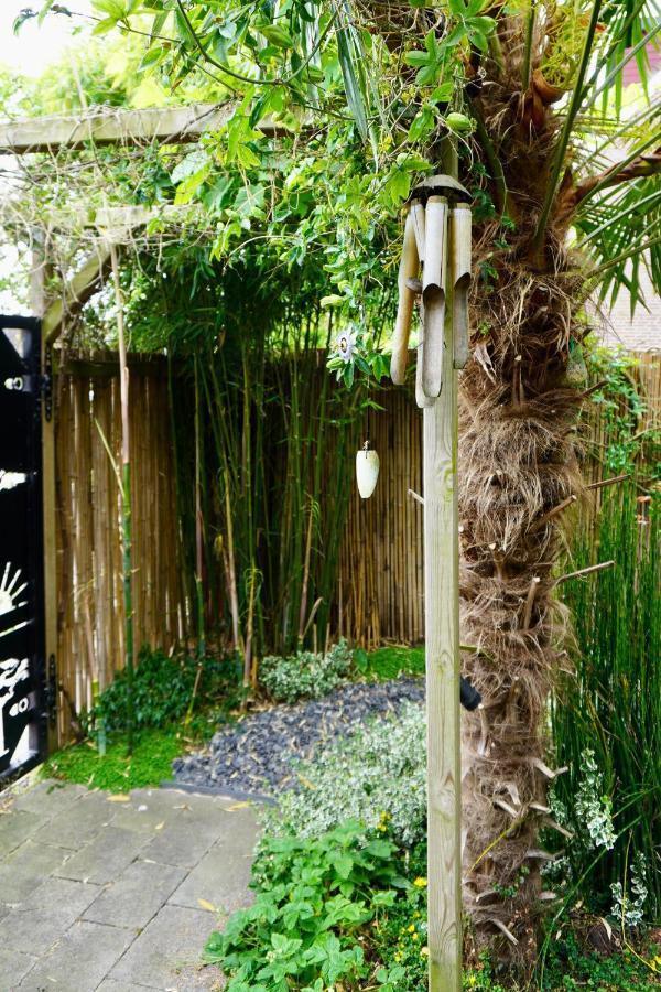 Jungle Stay In A Hidden Paradise زْفيندريشْتْ المظهر الخارجي الصورة