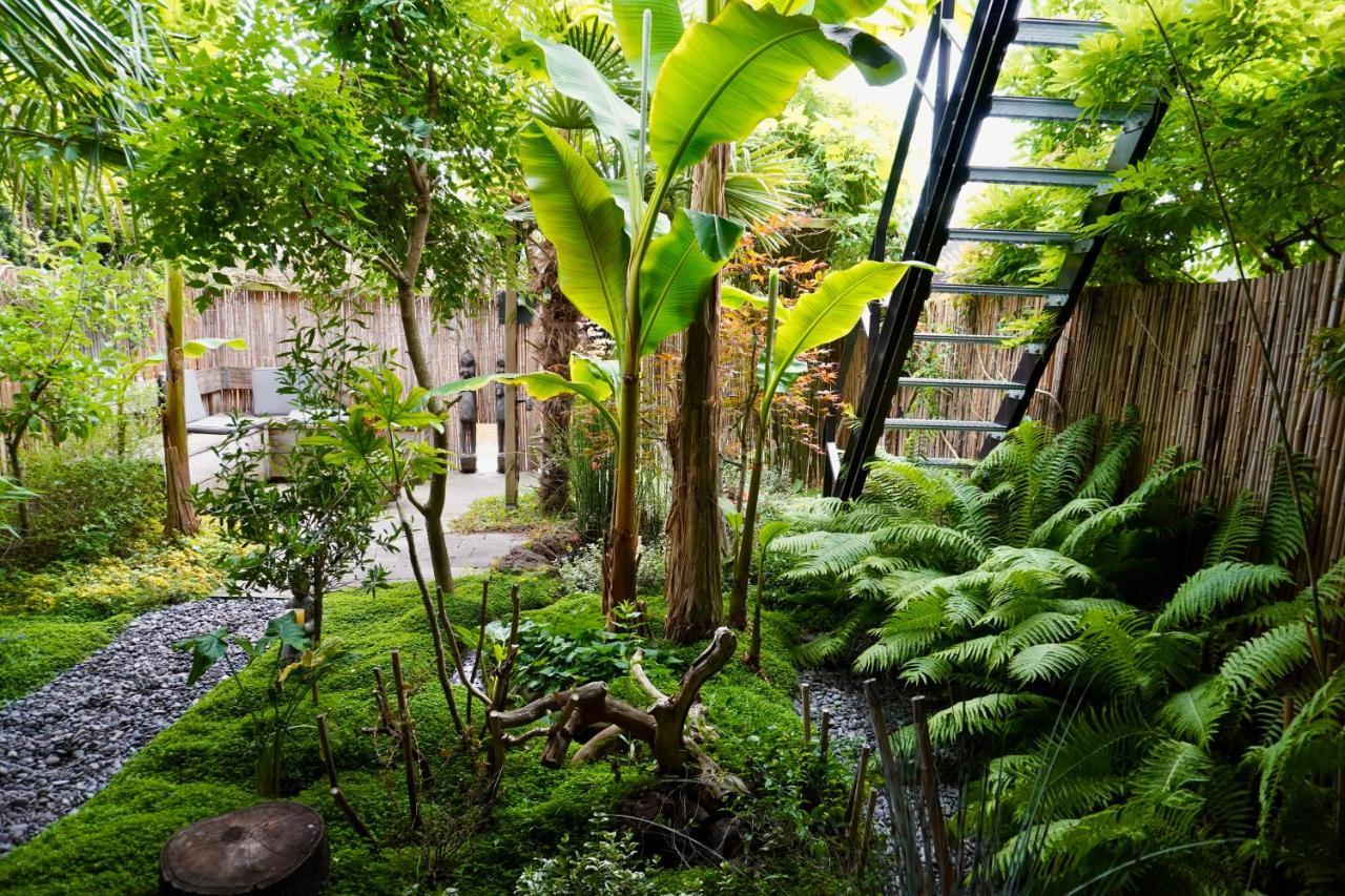 Jungle Stay In A Hidden Paradise زْفيندريشْتْ المظهر الخارجي الصورة